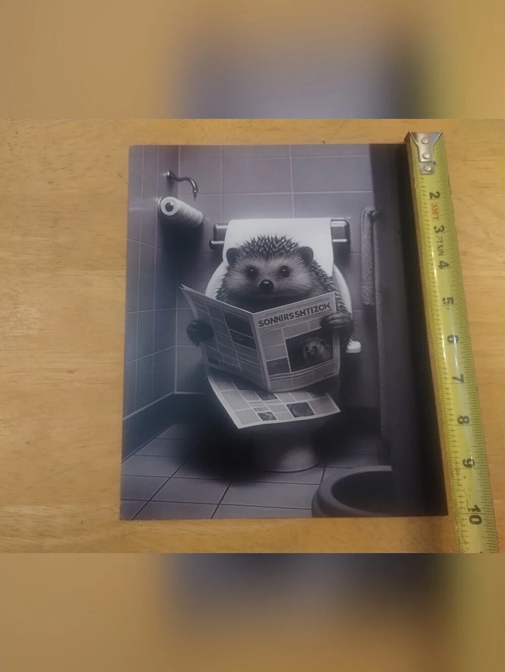 Funny Hedgehog Bathroom Art Print Stock Card Black White Wall Decor 8x10